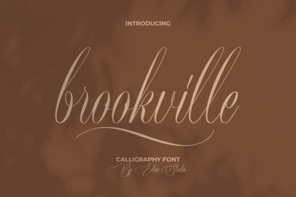 Brookville: The Luxury Script Font for Campaigns