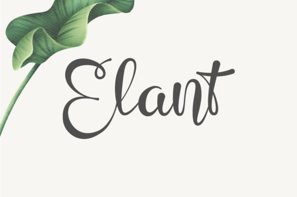Elant: A Magical Script Font for Elegant Branding