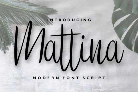 Mattina: The Elegant Script Font for Campaigns