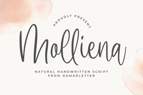 Molliena: The Handwritten Font for Campaigns