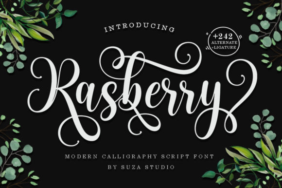 Rasberry: A Premium Handwritten Font for Brand Identity