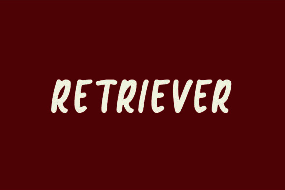 Retriever: A Playful Handwritten Font for Branding